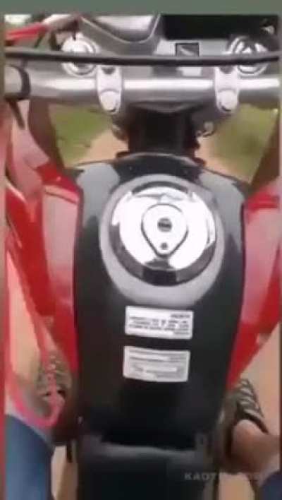 Running into a cow while doing wheelies