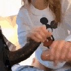 Milkshake