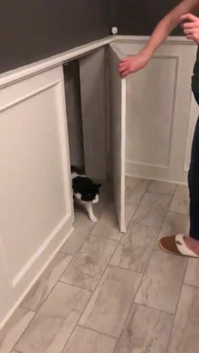 What a sweet surprise!