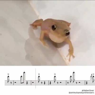 peep