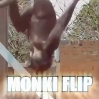 Monki flip