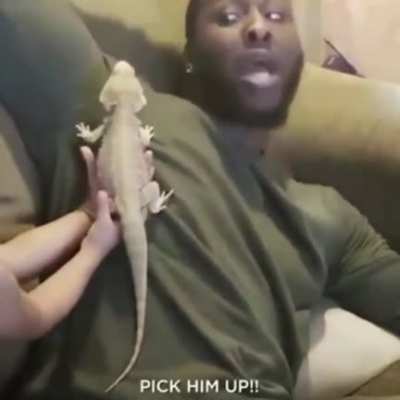 HELP