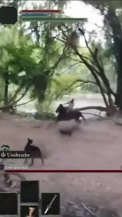 Elden Ring in real life