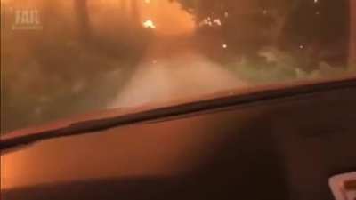 Intense Forest Fire Escape