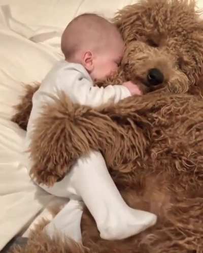 snuggles