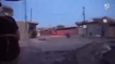 acorda
