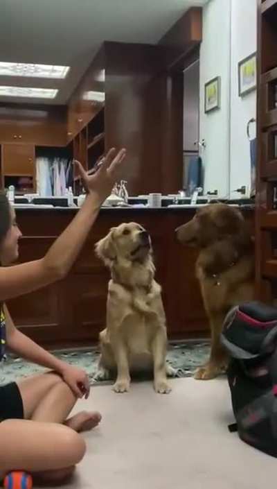 magic