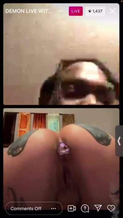 🐸🐸🐸