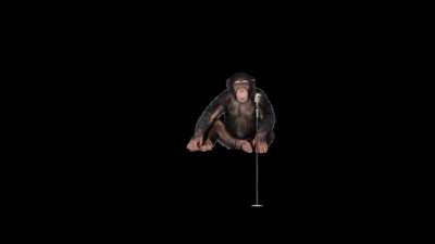 I hope you accept chimps