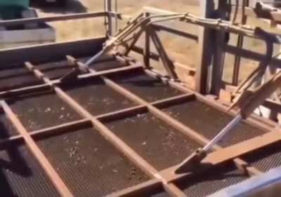 Industrial Sheep Washing Machine