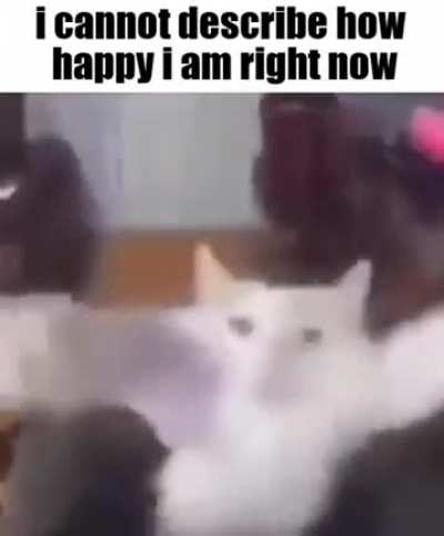 i am so happy