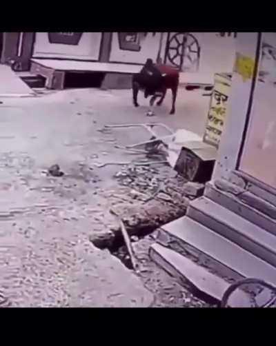 Fuck you old man