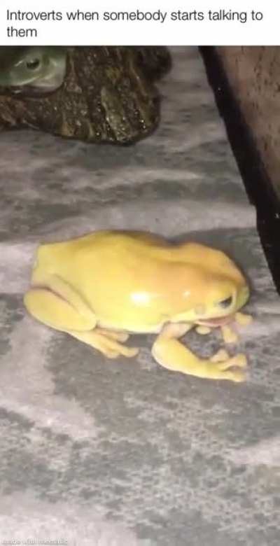 Me🕺irl