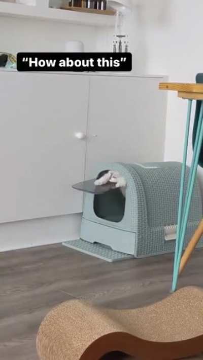 Please just help