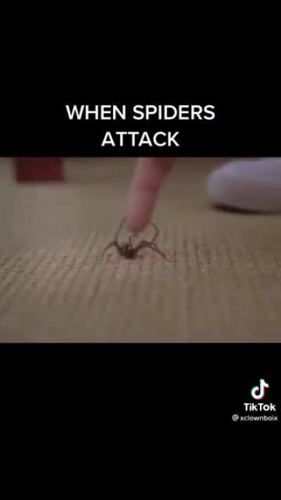 “It’s just a spider”