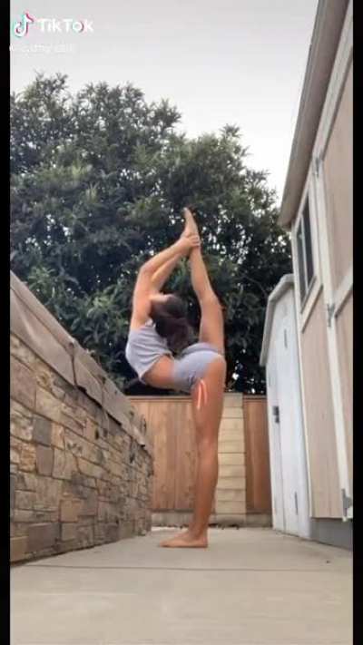 Flexithot