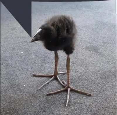 Hmm 🧐