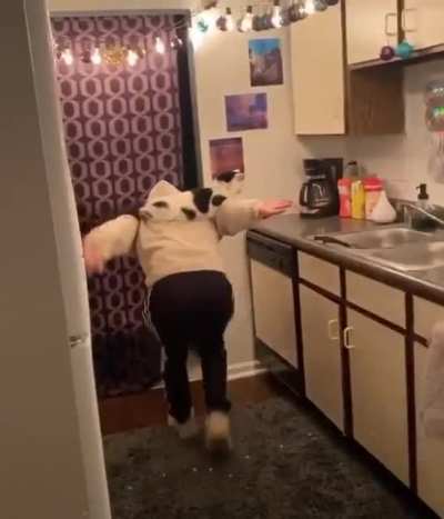 I wanna be Super-Cat too!