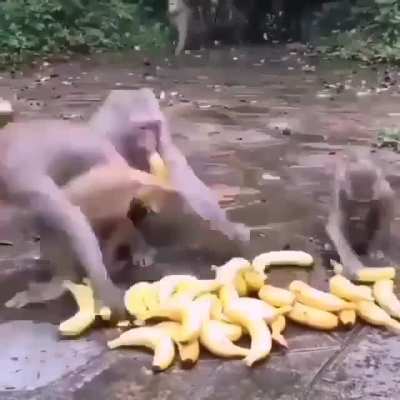 Hungry