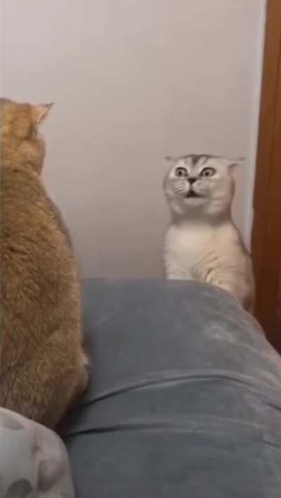 Relationship drama