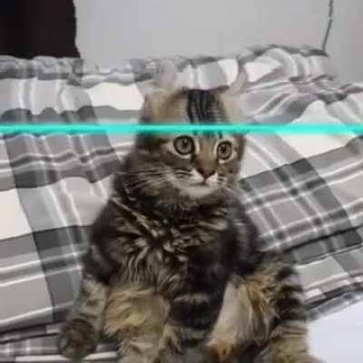 Title
