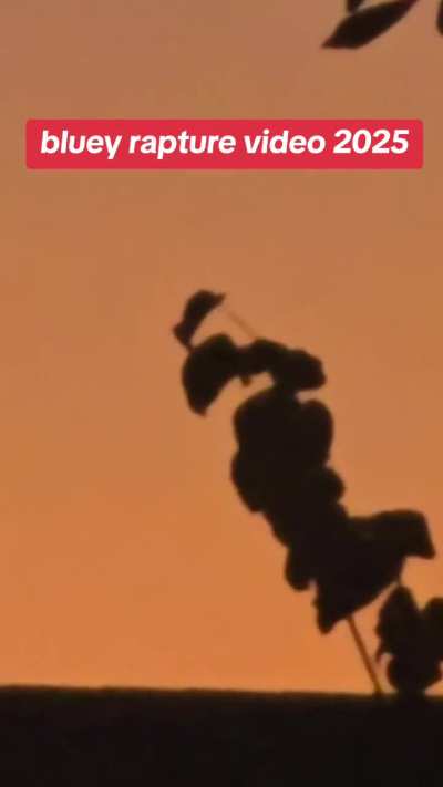 Bluey balloon incident 2025
