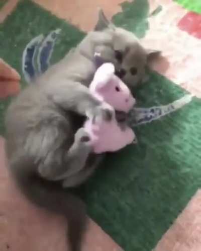 dis mine