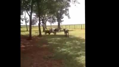 Charging a Ram