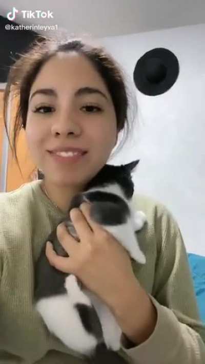 Cat reacting to ”Wind tunnel” face.