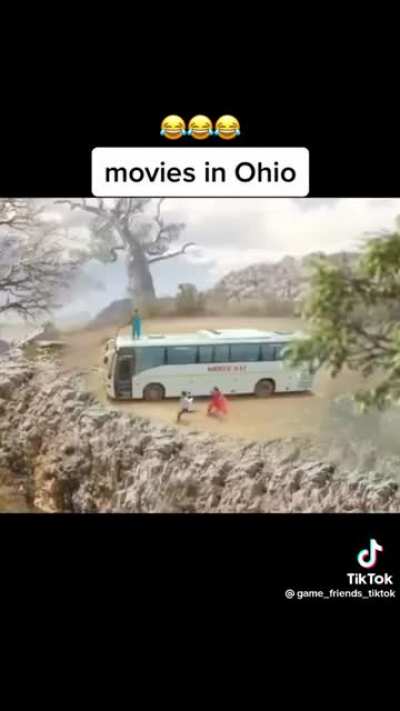 🦍