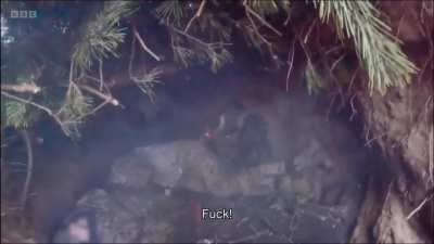 A Ukrainian unit leader stumbles upon the aftermath of a brutal firefight and discovers the fate of two of his men - west of Kupyansk (November 2023)