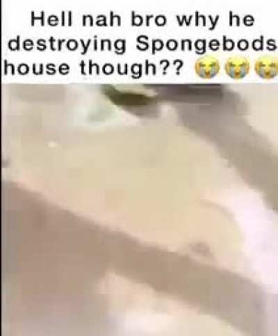Don’t do my homie spongebod like that 😭😭😭