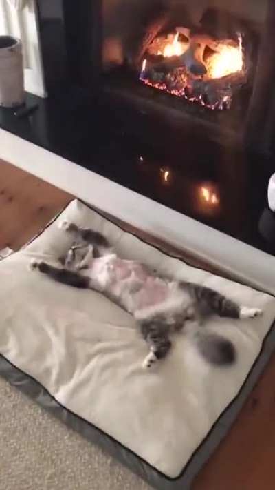 This fireplace energy.