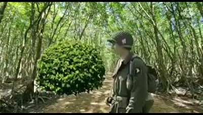 theywereinthetreestheywereinthetreestheywereinthetreestheywereinthetrees