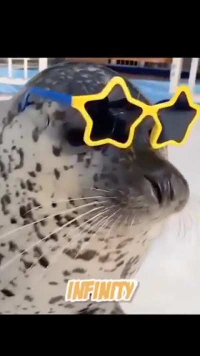 Supa seal 🫵