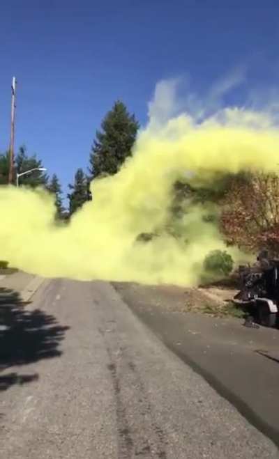 Pollen comes off a tree when it's cut down.