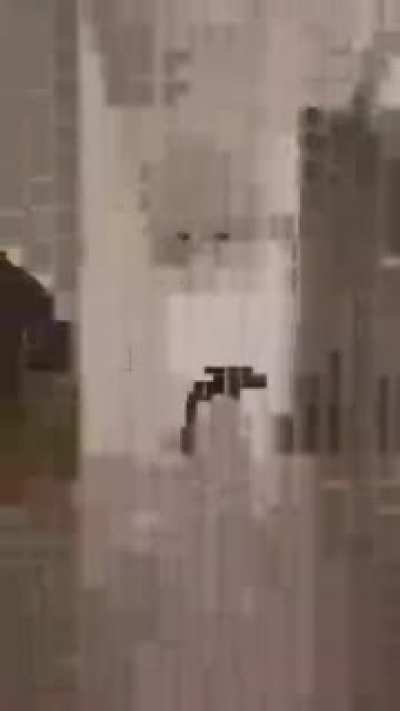 Is this low quality enough