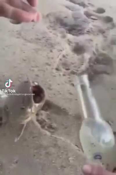 Rùlë