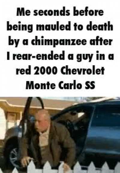 Trunk monke cometh