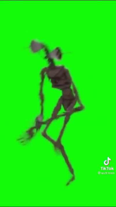 Bro