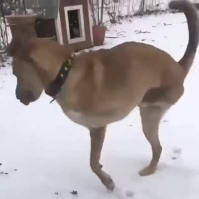 Such a good boy!