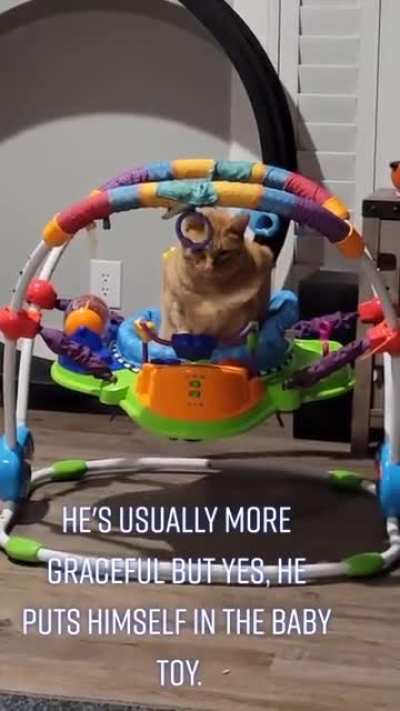 I'm the baby --cat