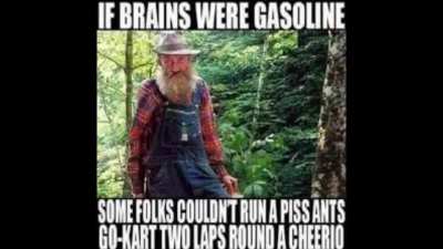 Not as smart as they may seem
