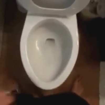 I hate it when this happens.