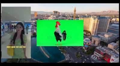 Hello guys, Digital Marketer here. I made my own ad for Las Vegas, and I hope someone from the NRL sees it and hires me 🥺.