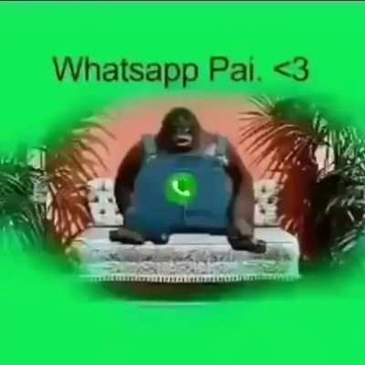 asi mismo 👍