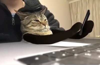 Assistant