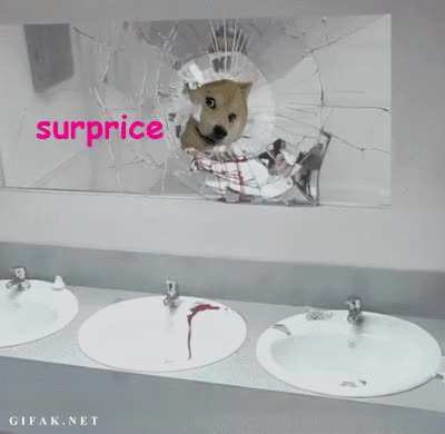 The uncharacteristic canine surprises man