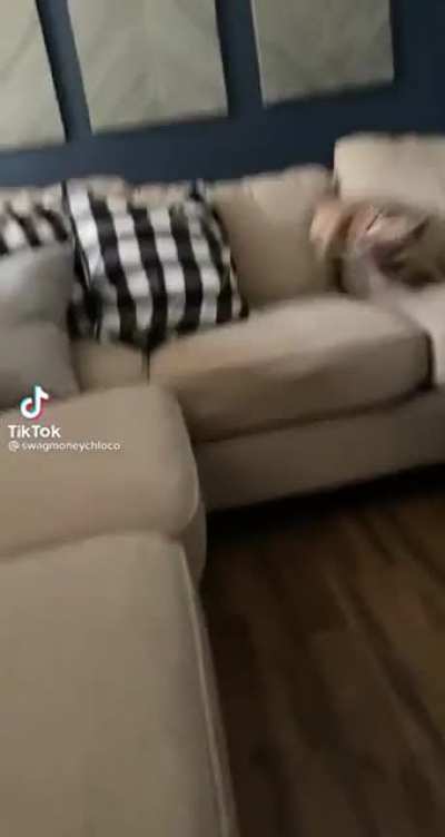 Doge do be hyper tho