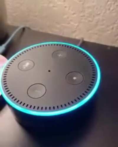 Hay alexa